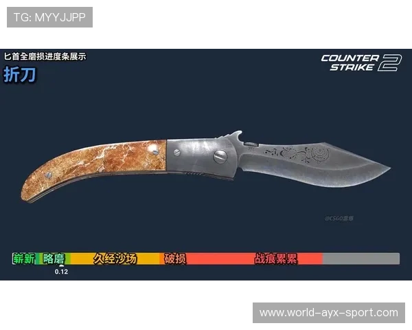 CS2皮肤估价入门：如何从磨损度和玄学图案判断真实价格？💸